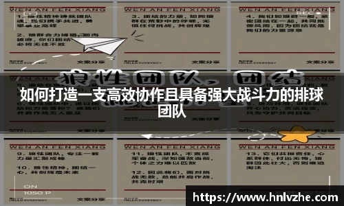 如何打造一支高效协作且具备强大战斗力的排球团队